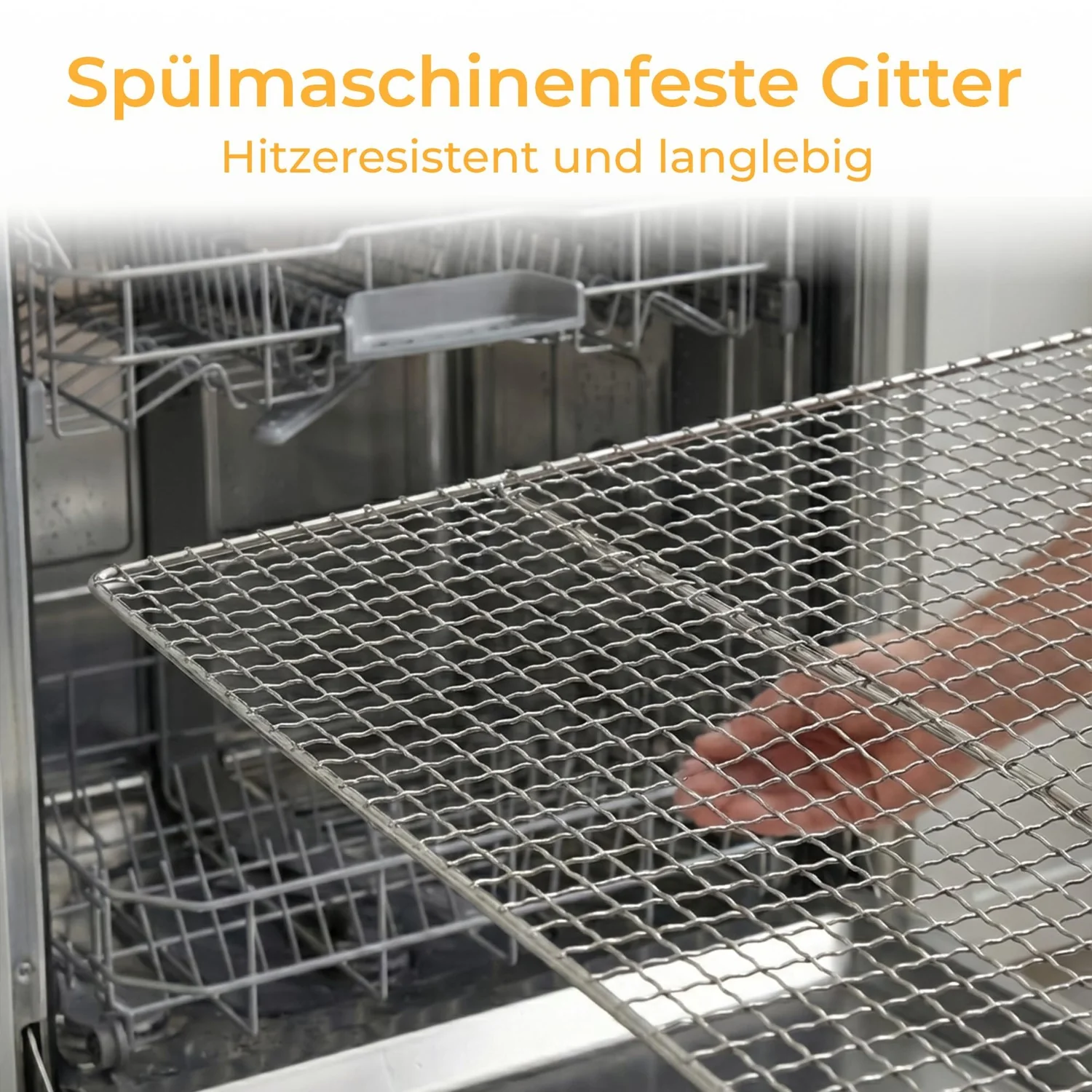 Vorschaubild 8