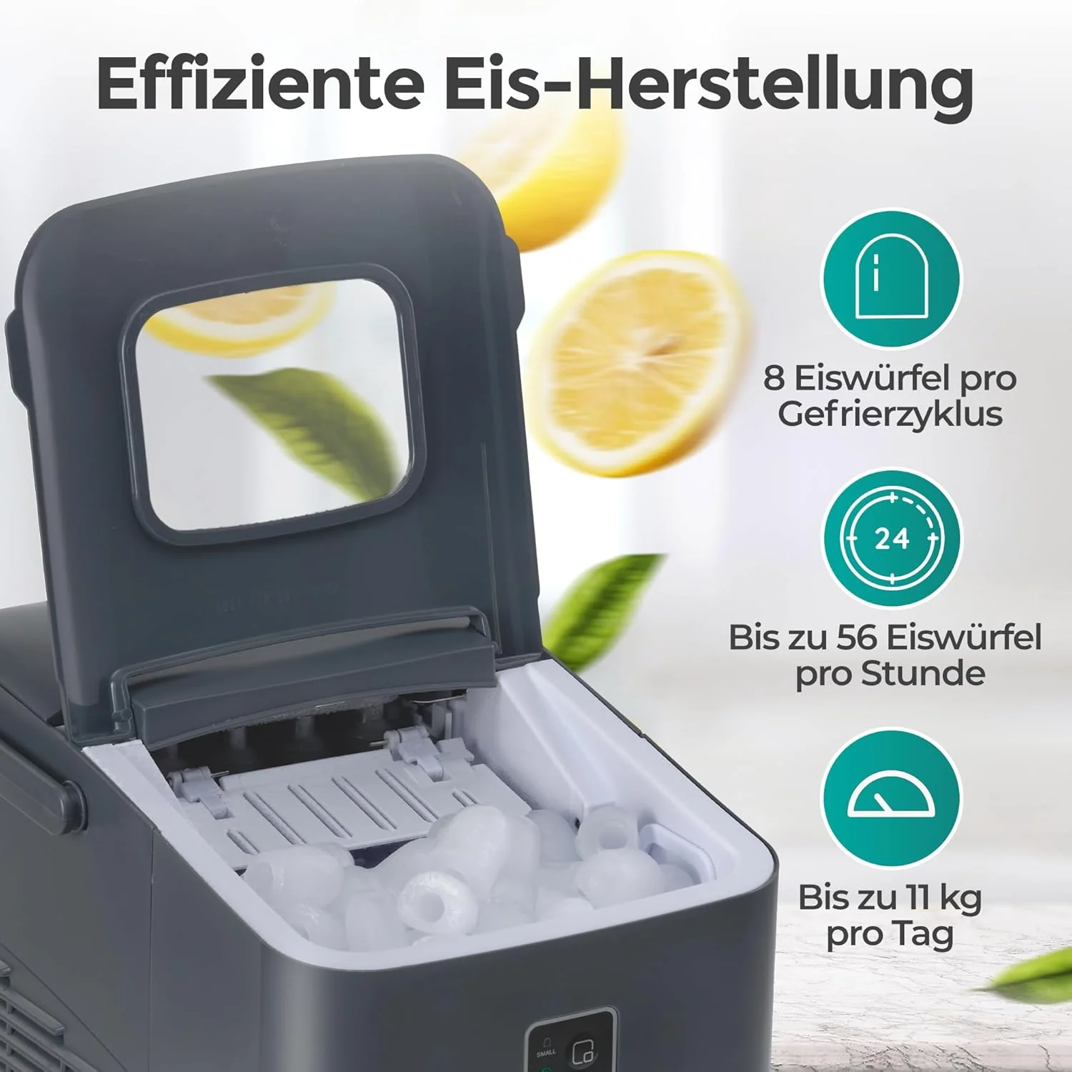 Vorschaubild 10