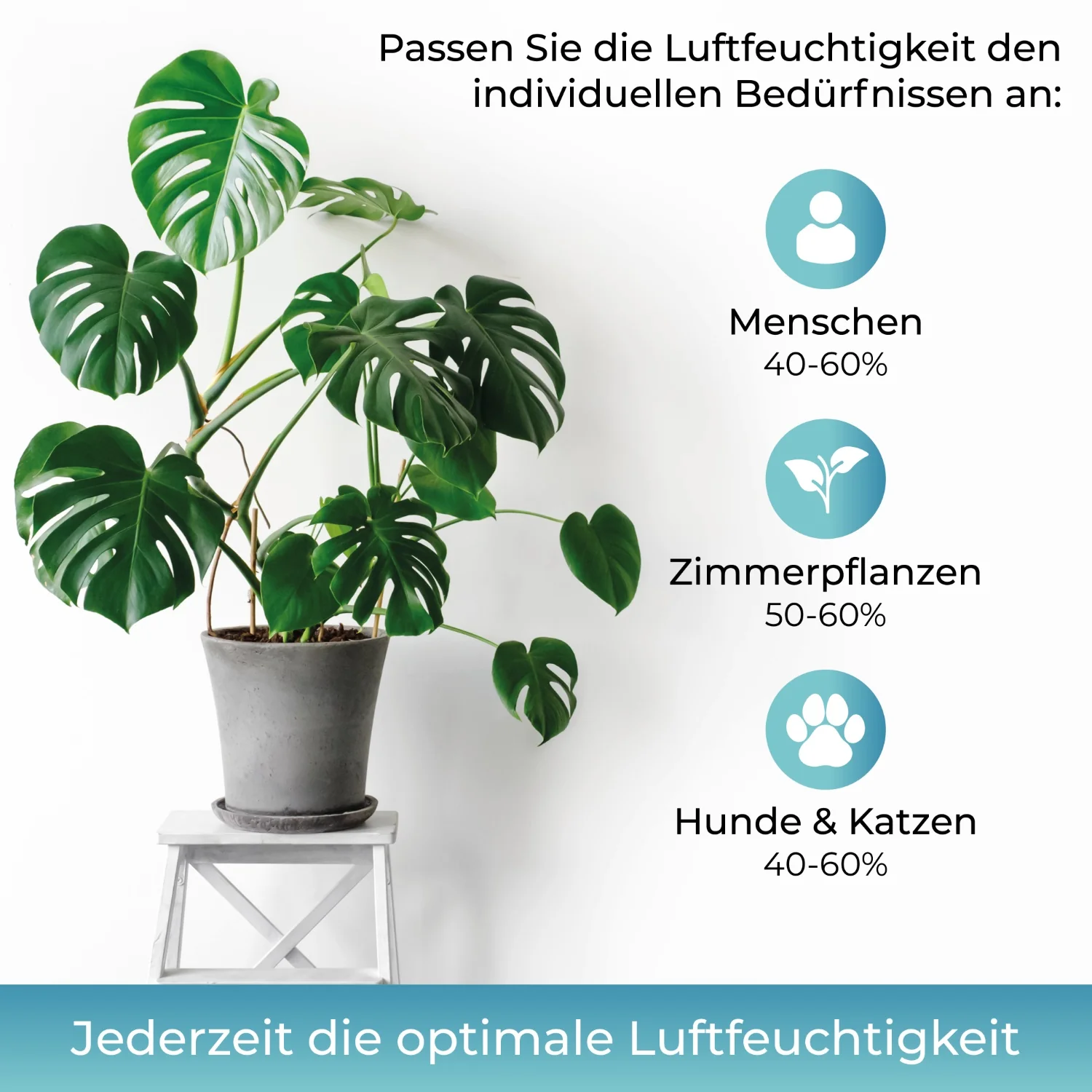 Vorschaubild 7