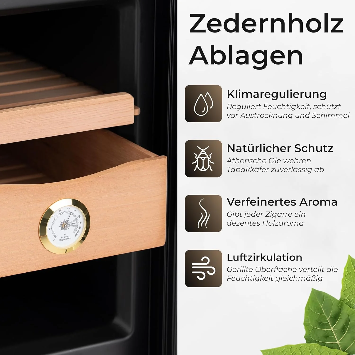 Vorschaubild 6